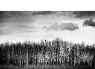 WERNISAŻ WYSTAWY FOTOGRAFII RADKA DELIMATY