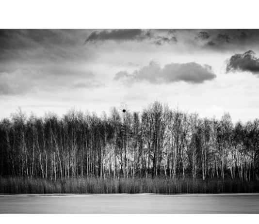 WERNISAŻ WYSTAWY FOTOGRAFII RADKA DELIMATY