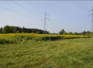 KRADZIEŻ ULI NA MOKRZYSZOWIE. ŚWIADKOWIE POSZUKIWANI