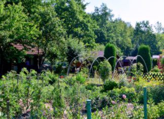 KOMISJA OCENIAŁA NAJŁADNIEJSZE OGRÓDKI DZIAŁKOWE