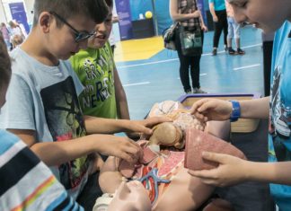 NAUKOBUS I CZŁOWIEK-UKŁADANKA W GORZYCACH