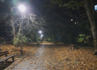 2022.10.26 – CIEMNO I OSZCZĘDNIE