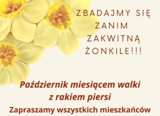 WSPÓLNE SADZENIE ŻONKILI W NIEDZIELĘ