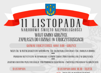 ŚWIĘTO NIEPODLEGŁOŚCI W GMINIE GORZYCE