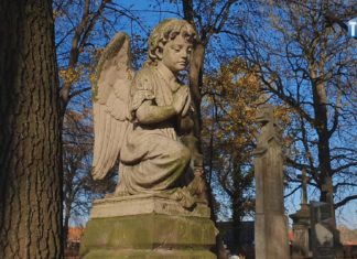 OKO REPORTERA Z DN. 1 LISTOPADA 2022 – MEMENTO MORI