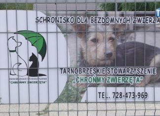 2022.11.02 – NA POMOC “MACHOWIAKOM”