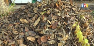 2022.11.10 – ZNOWU PALĄ