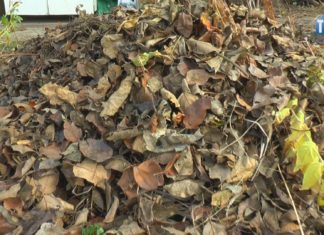 2022.11.10 – ZNOWU PALĄ