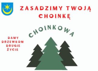 “CHOINKOWA ZAGRODA” POWRACA