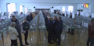 2022.12.11 – GOŁĘBIE W ROLI GŁÓWNEJ