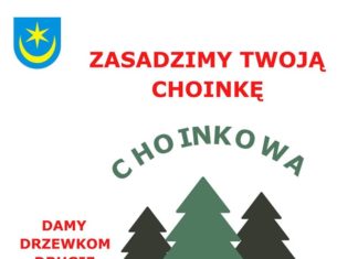 CHOINKOWA ZAGRODA: ZASADZIMY TWOJĄ CHOINKĘ!