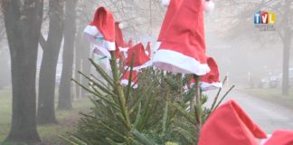 2023.01.04 – CHOINKI DLA UCHODŹCÓW