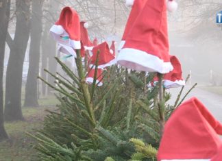 2023.01.04 – CHOINKI DLA UCHODŹCÓW