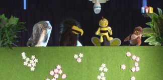 2023.01.17 – ECO-LOGICZNE PRZEDSTAWIENIE