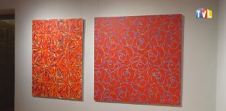 2023.01.15 – NA KOLOROWEJ ŁĄCE