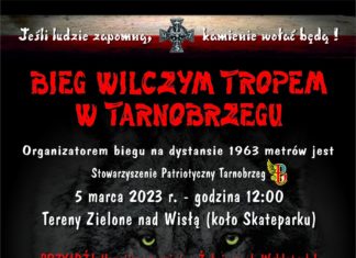 BIEG WILCZYM TROPEM W TARNOBRZEGU