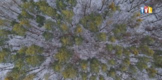 2023.02.10 – LOSY LASÓW ZWIERZYNIEC-JASIEŃ