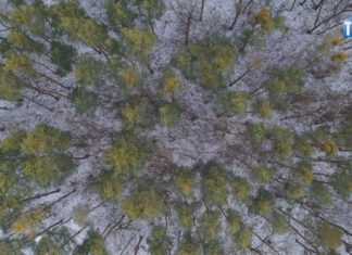 2023.02.10 – LOSY LASÓW ZWIERZYNIEC-JASIEŃ