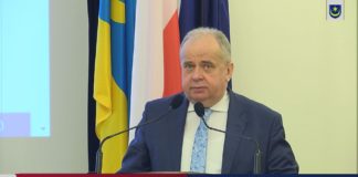 ZASTĘPCA PEŁNIĄCYM OBOWIĄZKI DYREKTORA