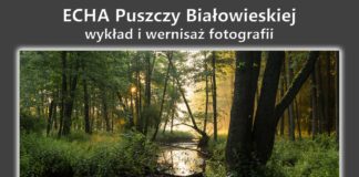 ECHA PUSZCZY BIAŁOWIESKIEJ W CENTRUM NATURA