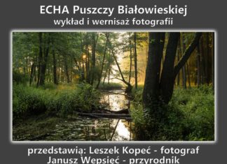 ECHA PUSZCZY BIAŁOWIESKIEJ W CENTRUM NATURA