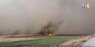 2023.03.21 – NIE PODPALAJ TRAW!