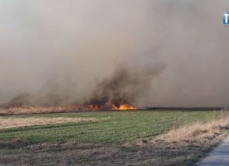 2023.03.21 – NIE PODPALAJ TRAW!