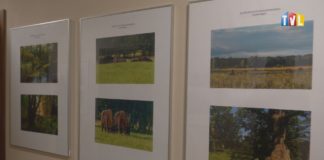 2023.03.31 – ECHA PUSZCZY BIAŁOWIESKIEJ