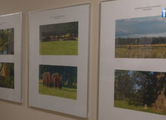 2023.03.31 – ECHA PUSZCZY BIAŁOWIESKIEJ