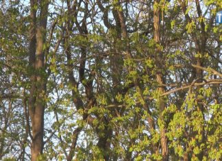 2023.04.21 – POSZUKIWANIA POHUKIWANIA