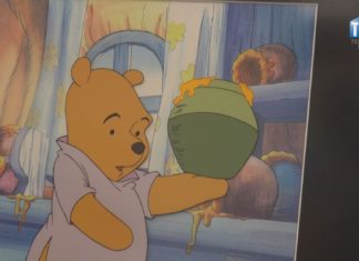 2023.06.06 – W ŚWIECIE KUBUSIA PUCHATKA