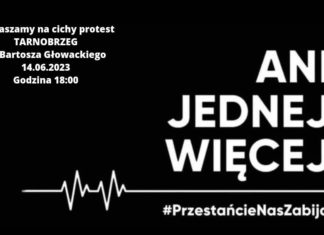 ANI JEDNEJ WIĘCEJ. PROTEST W TARNOBRZEGU