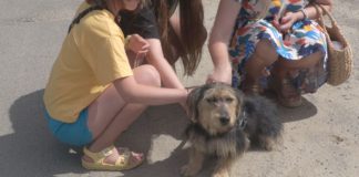 2023.07.02 – TWORZĄ ZWIERZĘTOM DOM OD 10 LAT