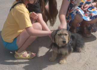 2023.07.02 – TWORZĄ ZWIERZĘTOM DOM OD 10 LAT