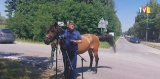 2023.07.17 – MIESZKAŃCY SĄ ROBIENI W KONIA?