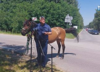 2023.07.17 – MIESZKAŃCY SĄ ROBIENI W KONIA?