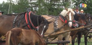 2023.07.30 – FURMANY I FURMANKI