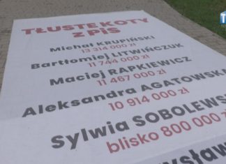 2023.08.05 – TŁUSTE KOTY I ICH KWOTY