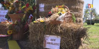 2023.08.15 – ŚWIĘTO PLONÓW I WSI KRÓLEWSKIEJ