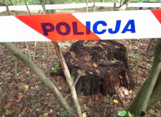 BĘDĄC NA GRZYBACH, ZNALAZŁ NIEWYBUCH