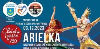 MOŻNA JUŻ NABYWAĆ CEGIEŁKI NA SPEKTAKL “SYRENKA ARIEL”