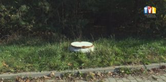 2023.11.07 – DLA DALSZEGO ROZWOJU GOSPODARCZEGO