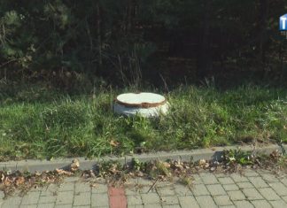 2023.11.07 – DLA DALSZEGO ROZWOJU GOSPODARCZEGO