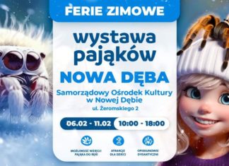 NOWA DĘBA. WYSTAWA PAJĄKÓW