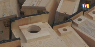 2024.02.22 – 95 BUDEK NA 95-LECIE