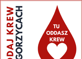 ODDAJ KREW W GORZYCACH