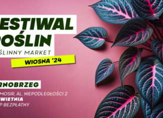 FESTIWAL ROŚLIN W TARNOBRZEGU
