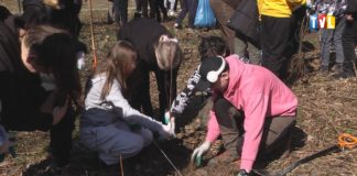 2024.03.21 – ZWIERZYNIEC BOGATSZY O TRZYSTA LIP