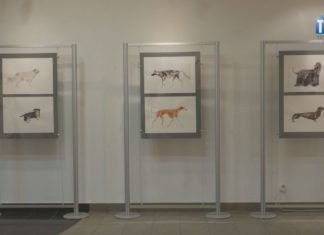 2024.03.21 – PIESKI ŚWIAT