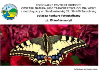 CENTRUM NATURA 2000 W TARNOBRZEGU ZAPRASZA DO UDZIAŁU W KONKURSACH